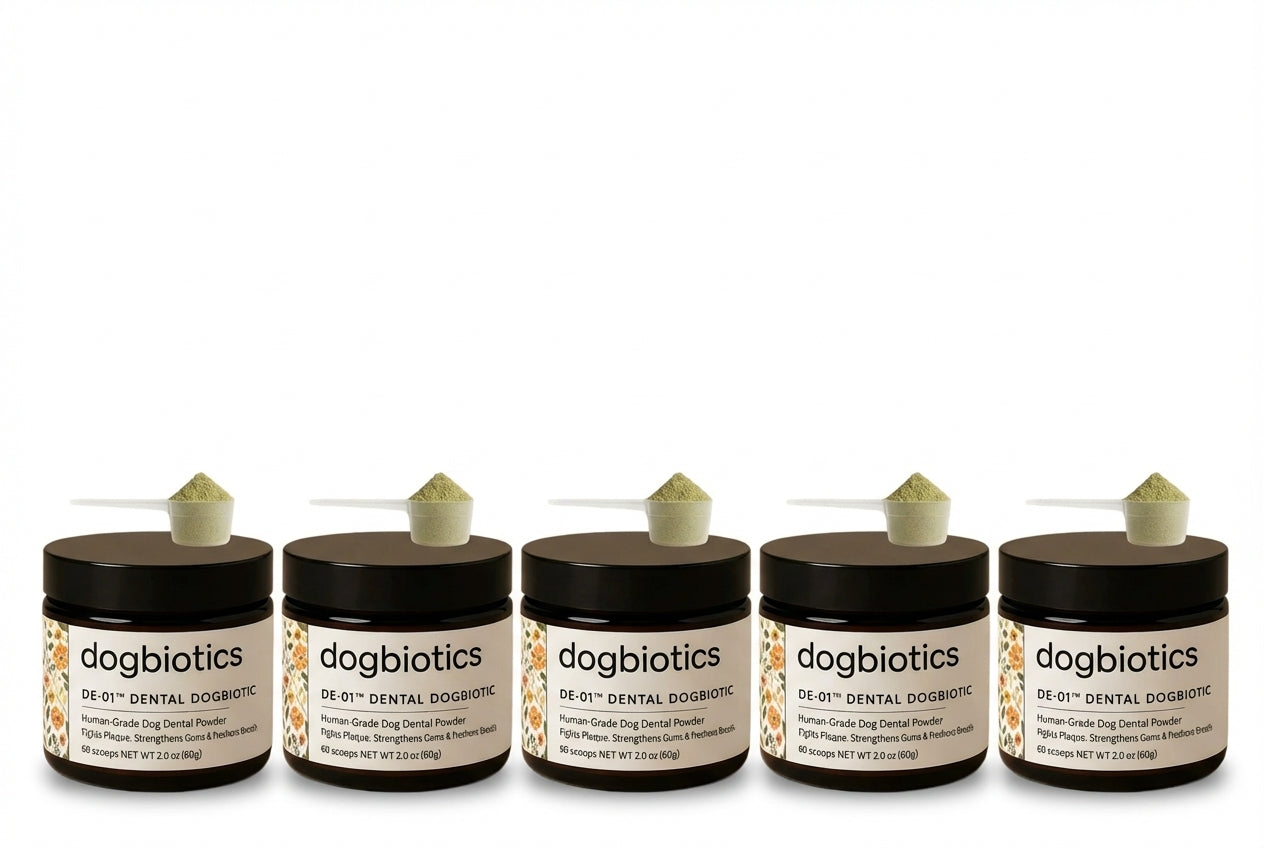 La Alternativa Segura a la Limpieza Dental Bajo Anestesia - DE-01™ Dental Dogbiotics