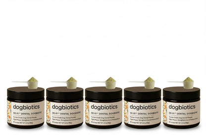 La Alternativa Segura a la Limpieza Dental Bajo Anestesia - DE-01™ Dental Dogbiotics