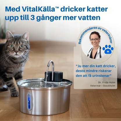 VitalKälla™ – Håll din katt hydrerad varje dag