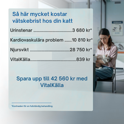 VitalKälla™ – Håll din katt hydrerad varje dag