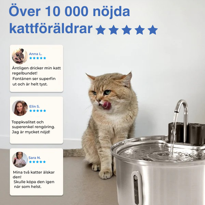 VitalKälla™ – Håll din katt hydrerad varje dag