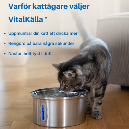 VitalKälla™ – Håll din katt hydrerad varje dag