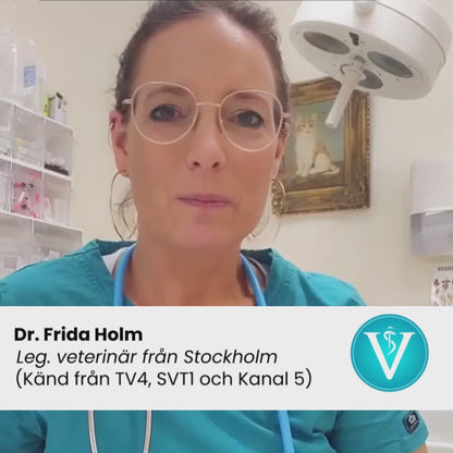 VitalKälla™ – Håll din katt hydrerad varje dag